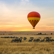 Kenya Business Electronic Travel Authorization (eTA)